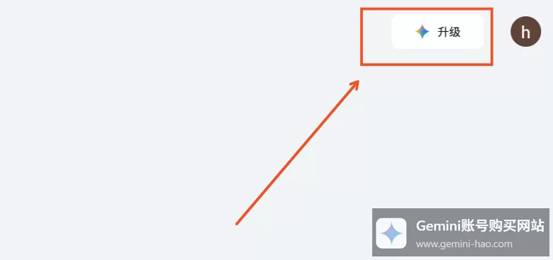 Gemini Pro账号购买：会员充值/代充详细教程！